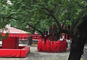Red charms hang off the trees at the Dong Yue Temple in Beijing